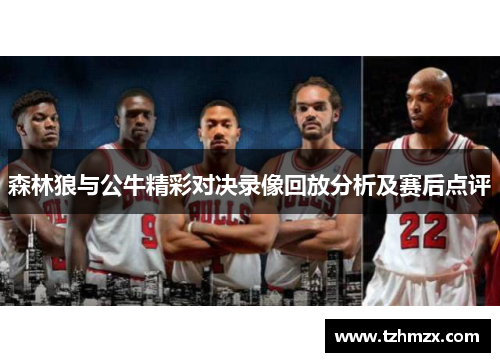 森林狼与公牛精彩对决录像回放分析及赛后点评