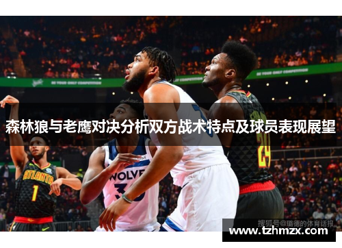 森林狼与老鹰对决分析双方战术特点及球员表现展望