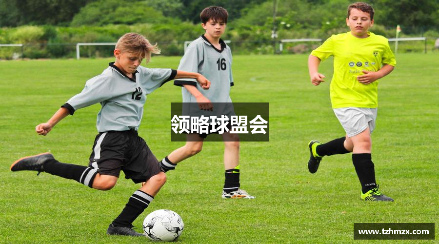 领略球盟会